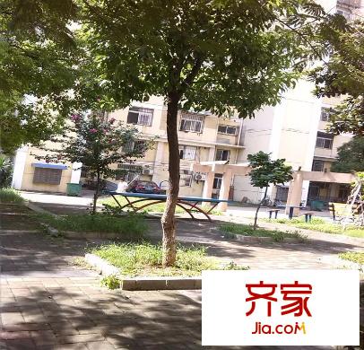 新安小區(qū)外景圖
