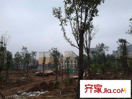 金地圣愛米倫配套圖周邊巡司河公園