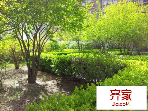麗華苑外景圖 