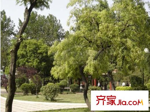 環(huán)灣城市廣場(chǎng)周邊配套之滄口公園