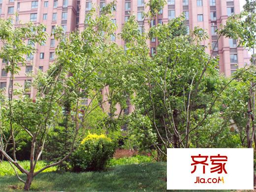 中鐵華胥美邦iHome實景圖20140528