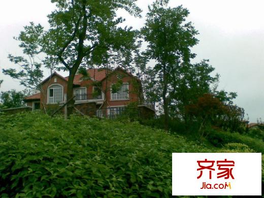 海信溫泉王朝（20130106）