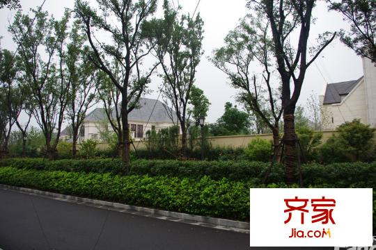 天逸海灣（2013-07-21）