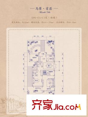 安納溪VILLADN-C1/C1反首層戶型圖 4室3廳4衛(wèi)1廚