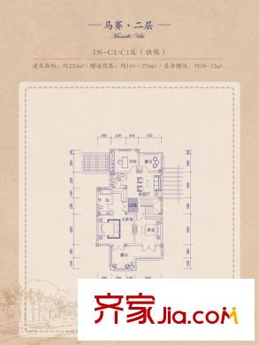 安納溪VILLA1-20號樓DS-C1/C1反二層戶型圖 4室3廳4衛(wèi)2廚