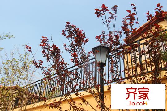 建邦聽海一期別墅園區(qū)（2015-8-18）