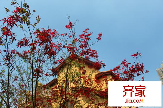 建邦聽海一期別墅園區(qū)（2015-8-18）
