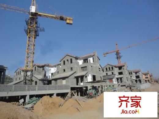 青建橄欖樹實(shí)景圖工程進(jìn)展（20130217）