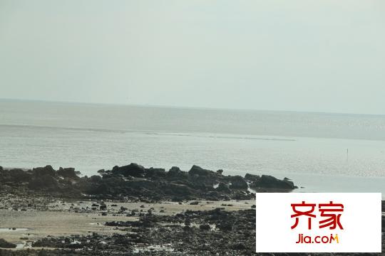 青建橄欖樹外景圖