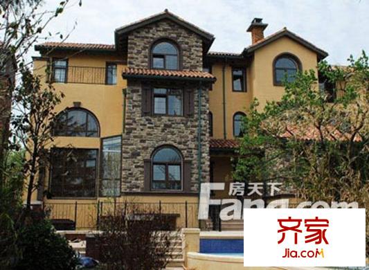 青建橄欖樹外景圖 
