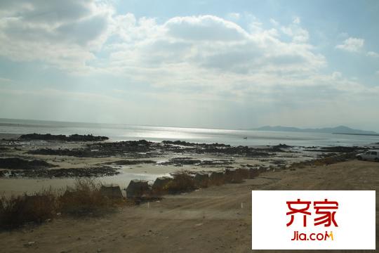 青建橄欖樹外景圖