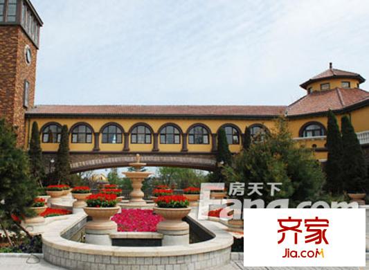 青建橄欖樹外景圖 