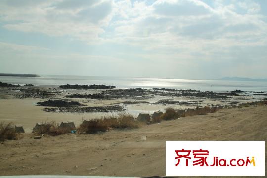 青建橄欖樹配套圖周邊景觀圖（20130109）