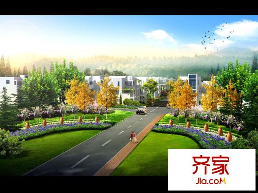 天泰圣羅尼克外景圖“花之海洋”景觀區(qū)