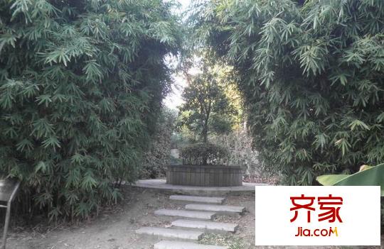 左岸名苑外景圖