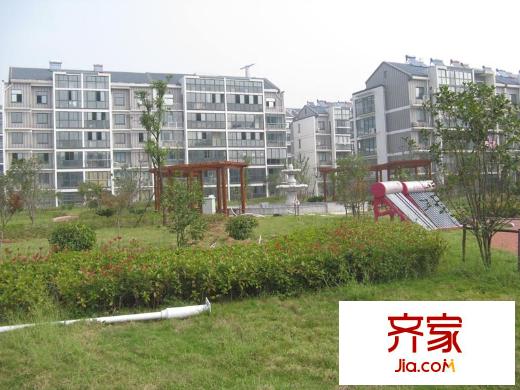 金東城雅居外景圖 