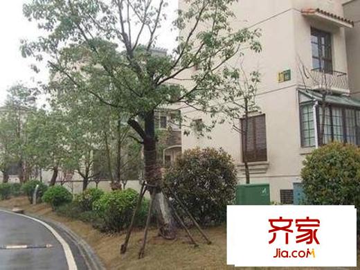 東郊小鎮(zhèn)第一街區(qū)外景圖