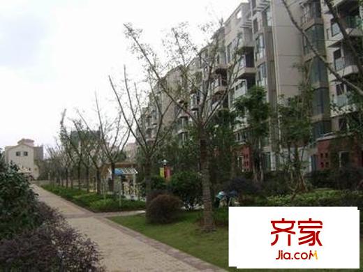 東郊小鎮(zhèn)第一街區(qū)外景圖