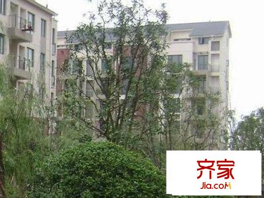東郊小鎮(zhèn)第一街區(qū)外景圖