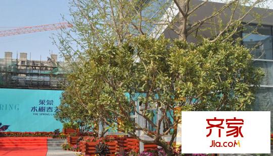萊蒙水榭春天外景圖