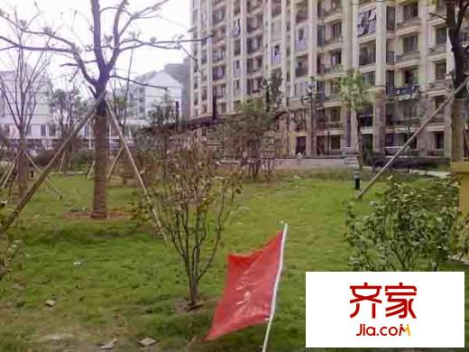 青山灣外景圖