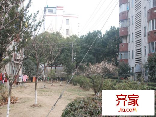 湖濱公寓外景圖