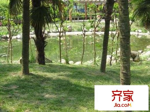 黃埔花園外景圖 
