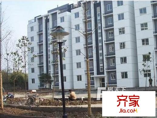 頤家春天