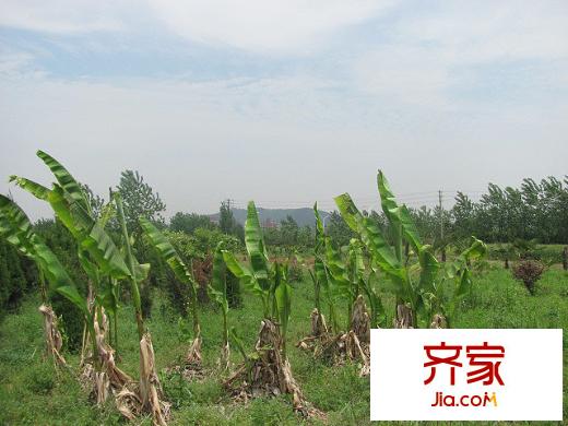 江蘇軟件園寧丹路以西項(xiàng)目地塊（2010-5-12）