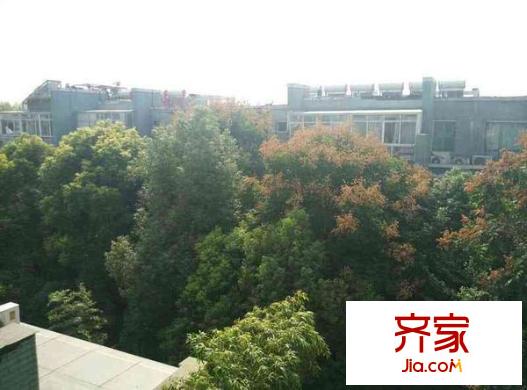 萊茵東郡外景圖