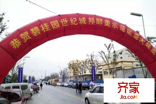 碧桂園世紀(jì)城邦項(xiàng)目