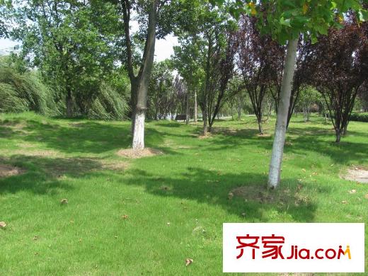 碧湖天辰項(xiàng)目前方石刻湖（2013-07-12）