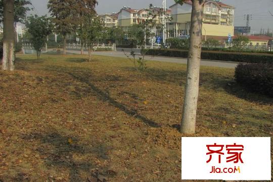 碧湖天辰實(shí)景（2015-3-19）
