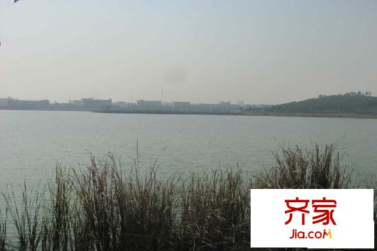 碧湖天辰實(shí)景拍色（2015-3-19）
