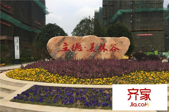 立德美林谷項(xiàng)目LOGO展示（2015-03-30）