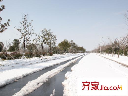 鴻德紫谷配套圖項(xiàng)目南面緊挨的道路