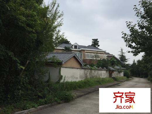 養(yǎng)龍山莊別墅外景圖