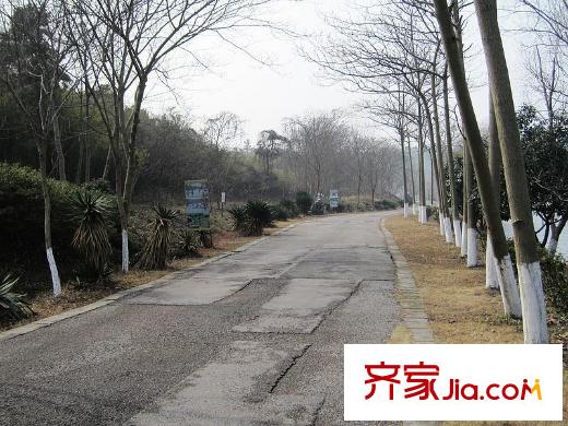 翠海名家園配套圖將軍山（2013.01）