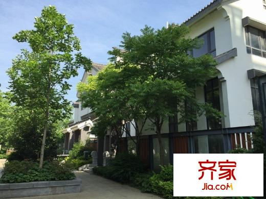 紫園別墅外景圖