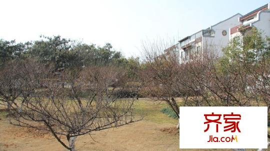 中國人家外景圖