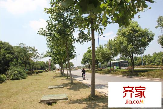 武夷名仕園項目
