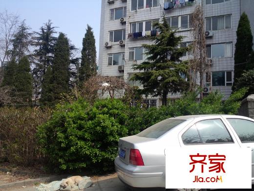 龍?zhí)堵沸^(qū)外景圖