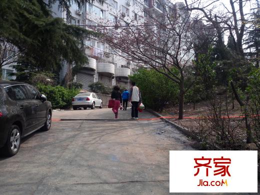 龍?zhí)堵沸^(qū)外景圖