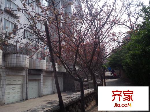 龍?zhí)堵沸^(qū)外景圖