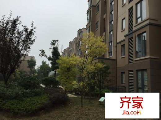 東郊小鎮(zhèn)第五街區(qū)外景圖