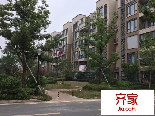 東郊小鎮(zhèn)第五街區(qū)外景圖