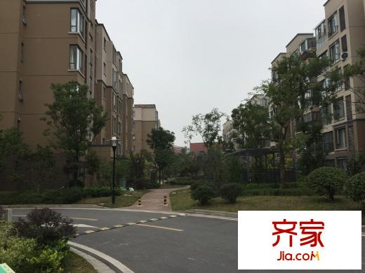 東郊小鎮(zhèn)第五街區(qū)外景圖