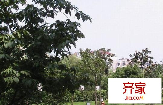 城開怡家外景圖