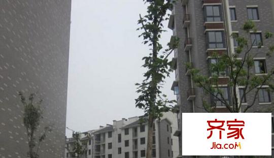 永欣新寓外景圖