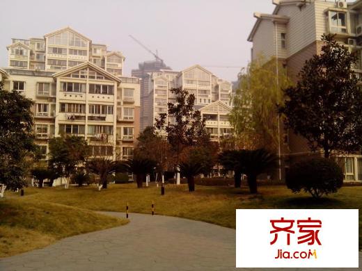 奧體新城翠杉園外景圖